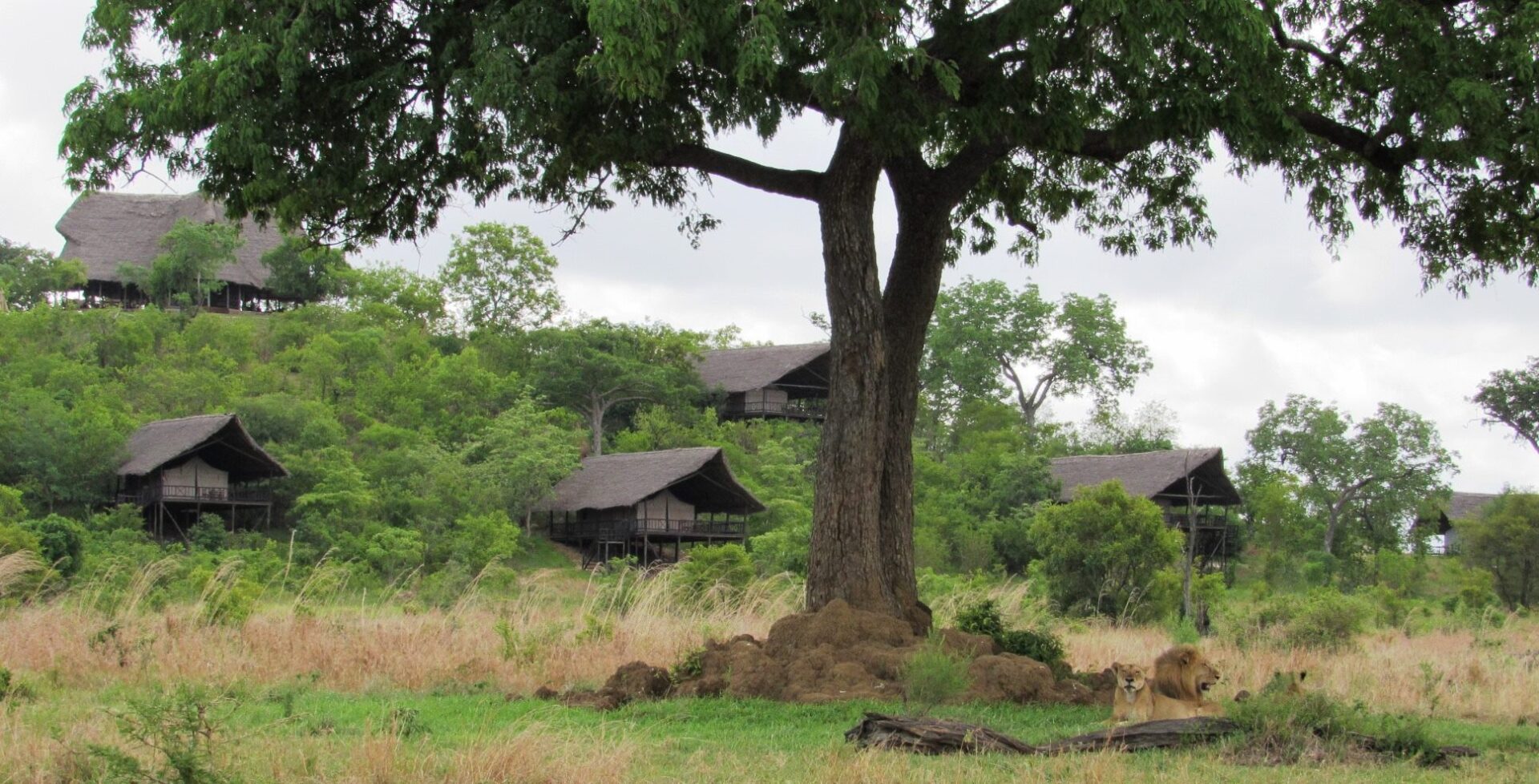 Tourism in Tanzania Tourism in Tanzania