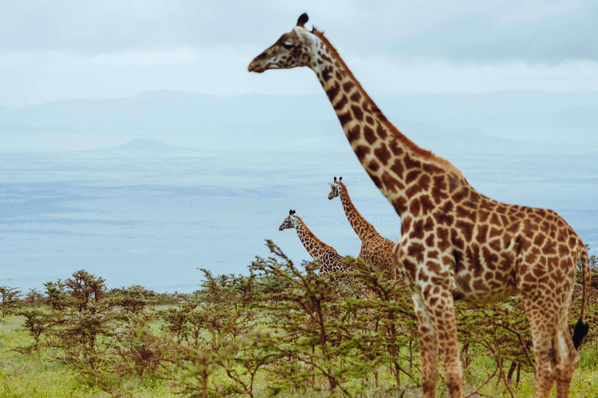 Tourism in Tanzania Tourism in Tanzania