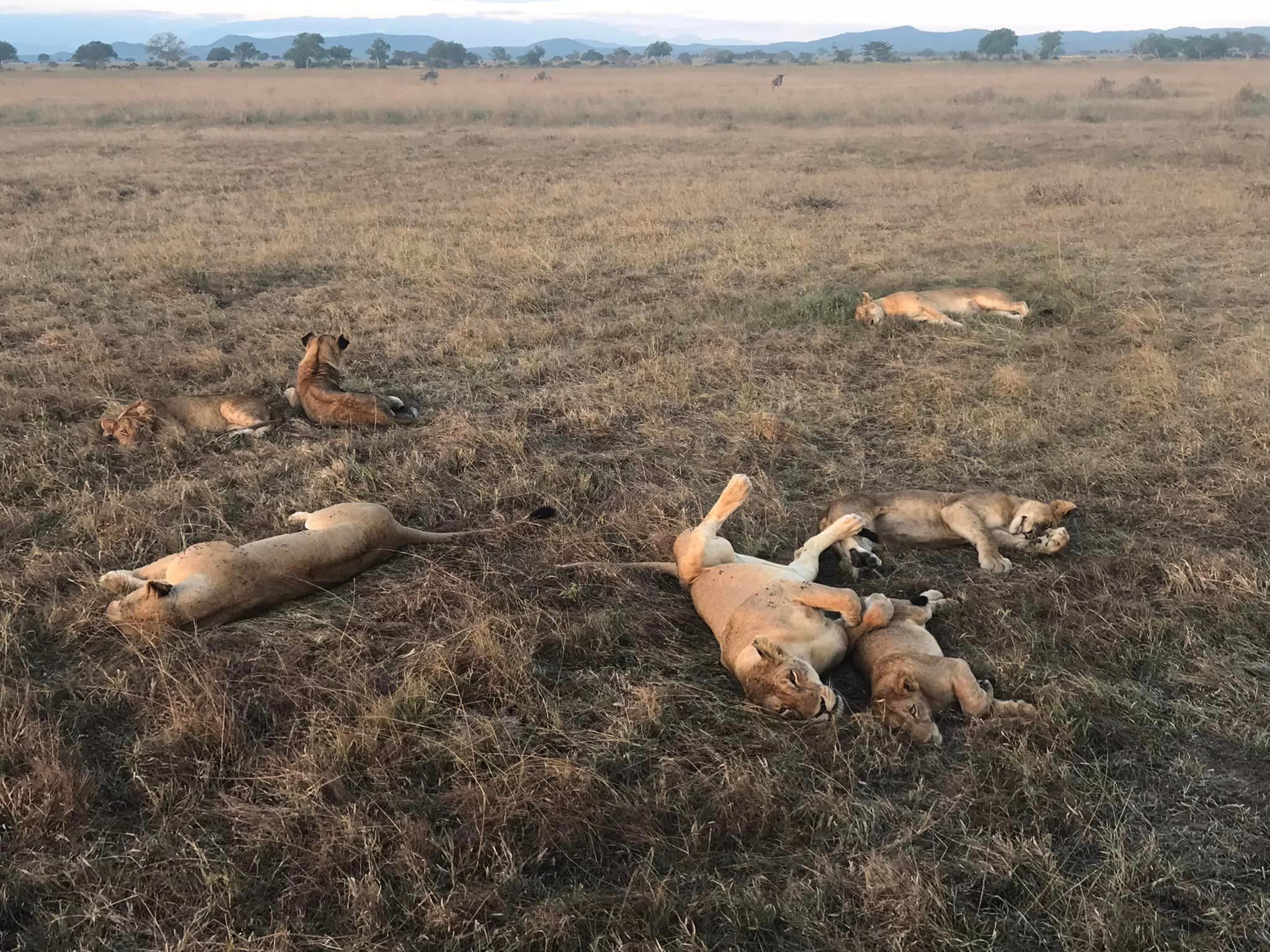 Tourism in Tanzania Tourism in Tanzania