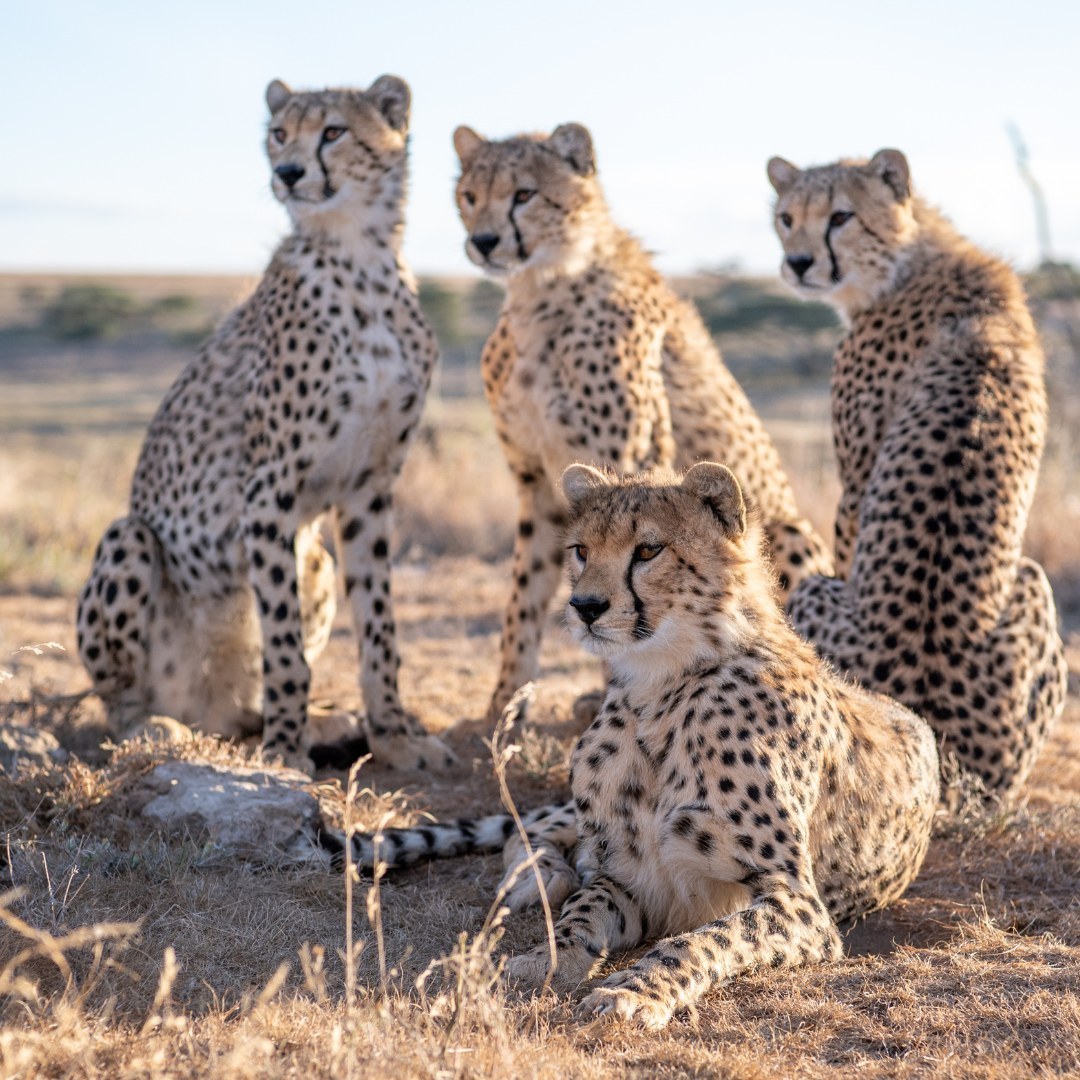 Tourism in Tanzania Tourism in Tanzania