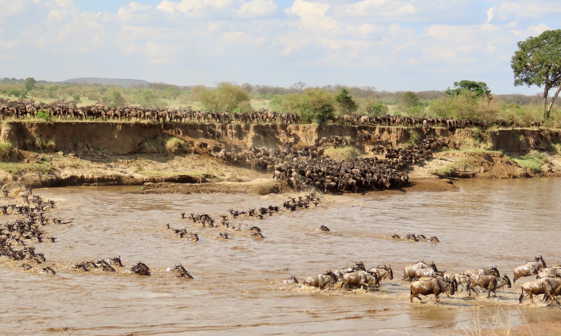 Tourism in Tanzania