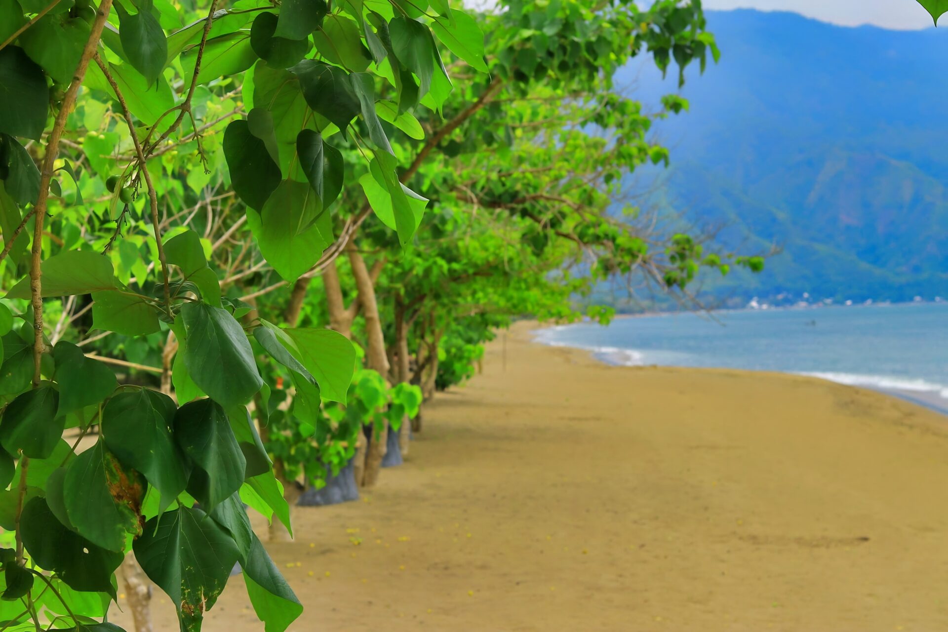 Lake Nyasa Lake Nyasa