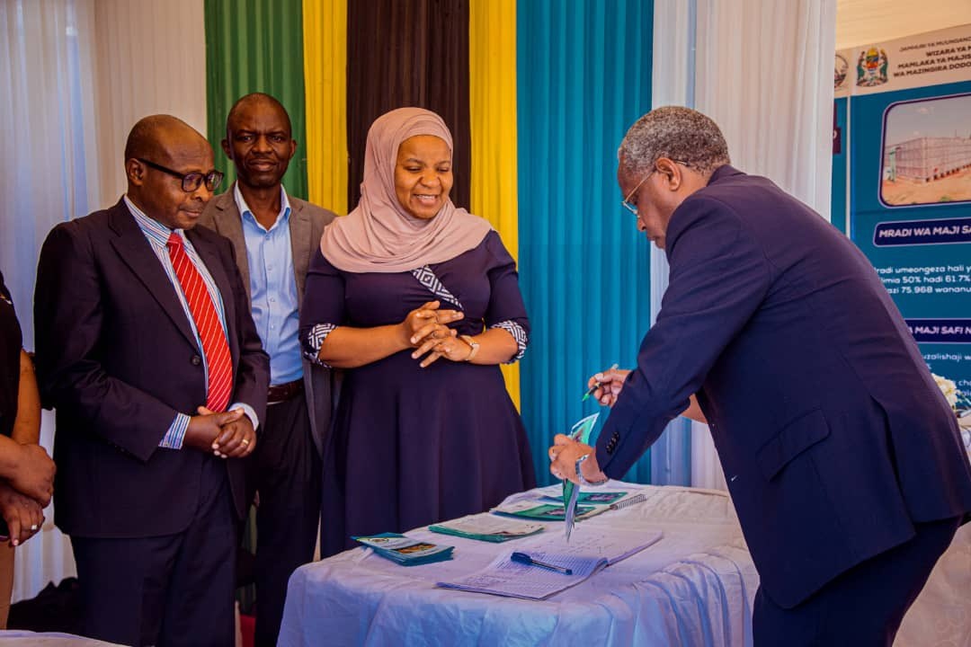 Local Government Elections