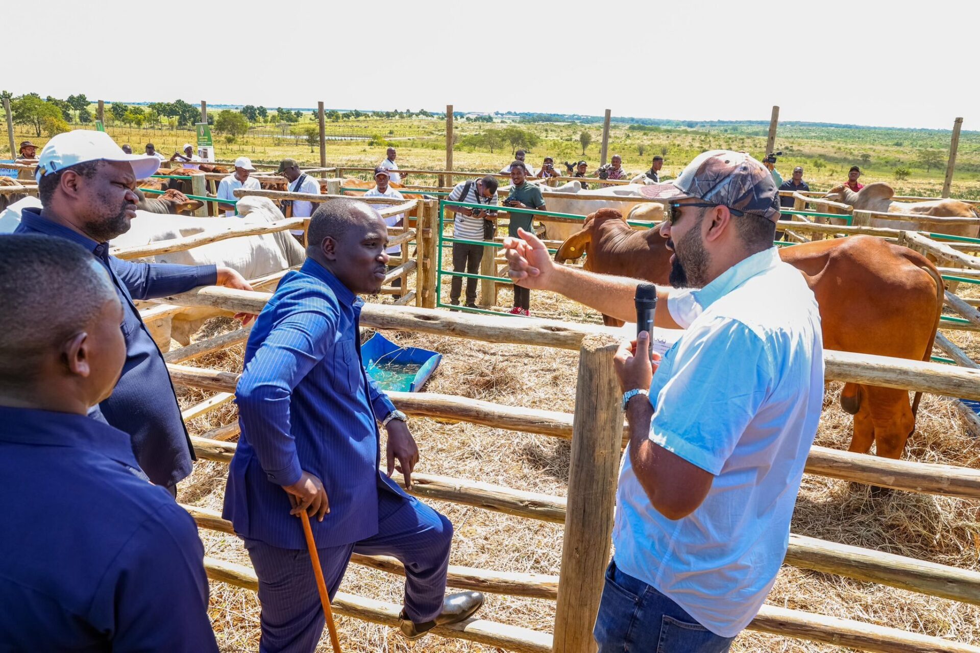 livestock sector livestock sector