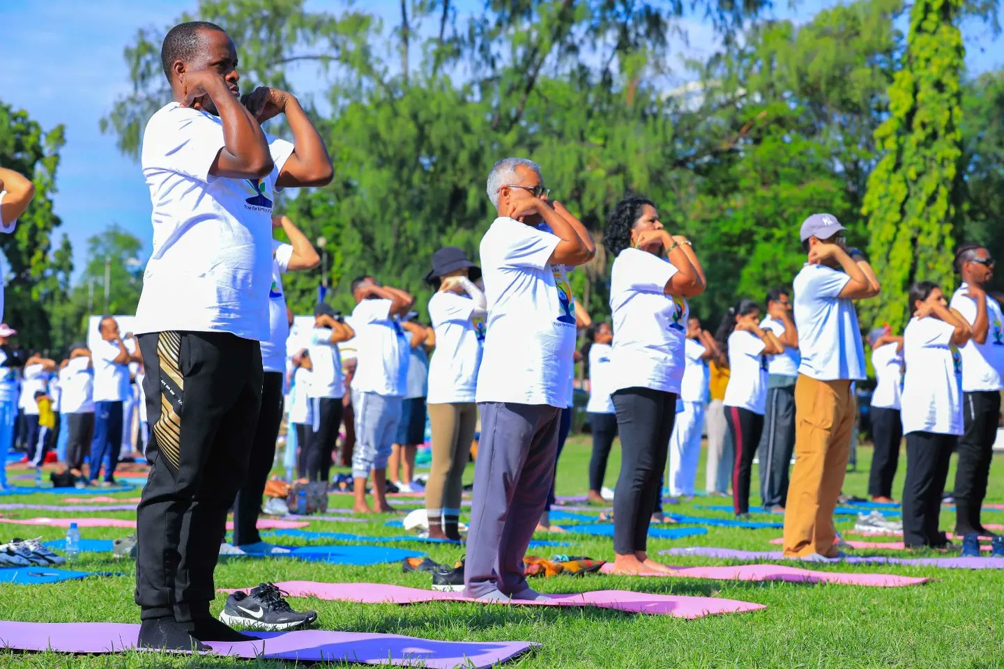 non-communicable diseases