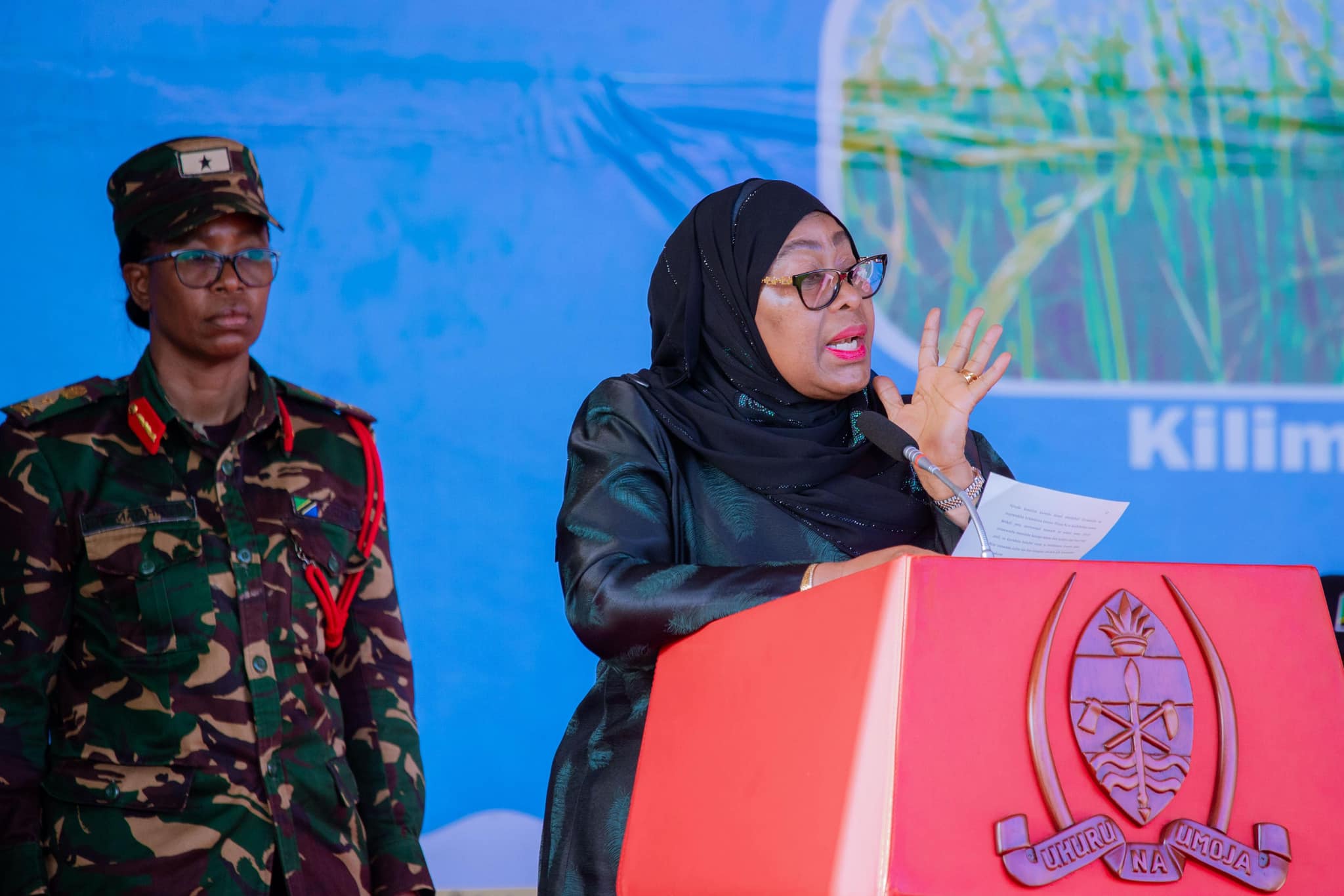 Cashew Nut Factory in Tunduru
