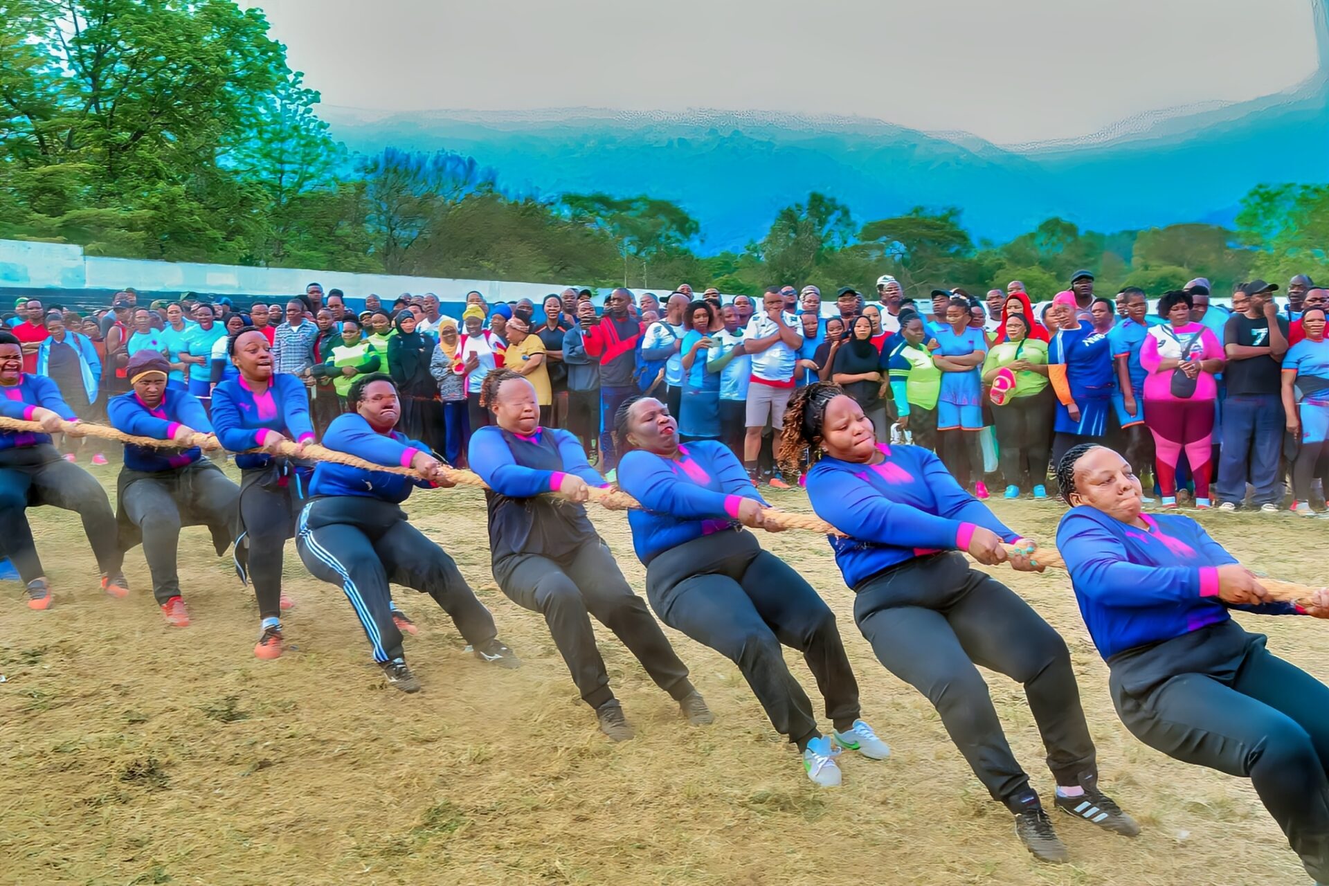 Shimiwi Competition Shimiwi Competition