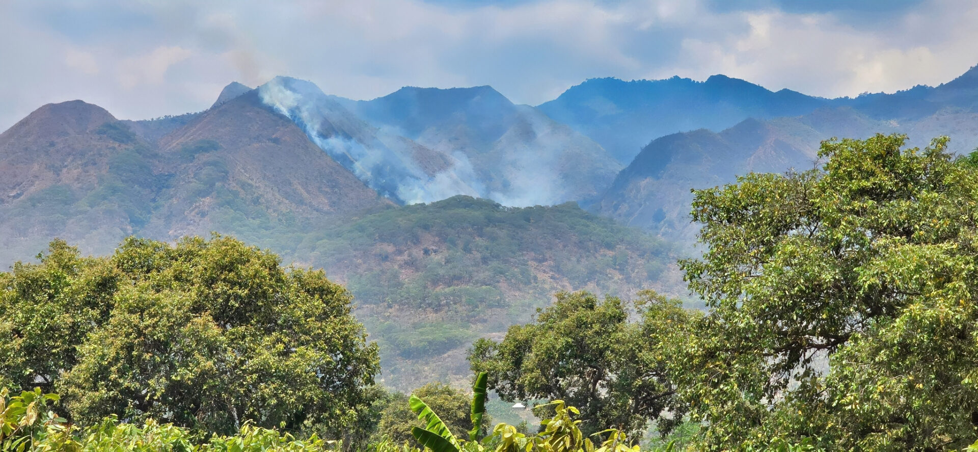 Livingstone Mountains