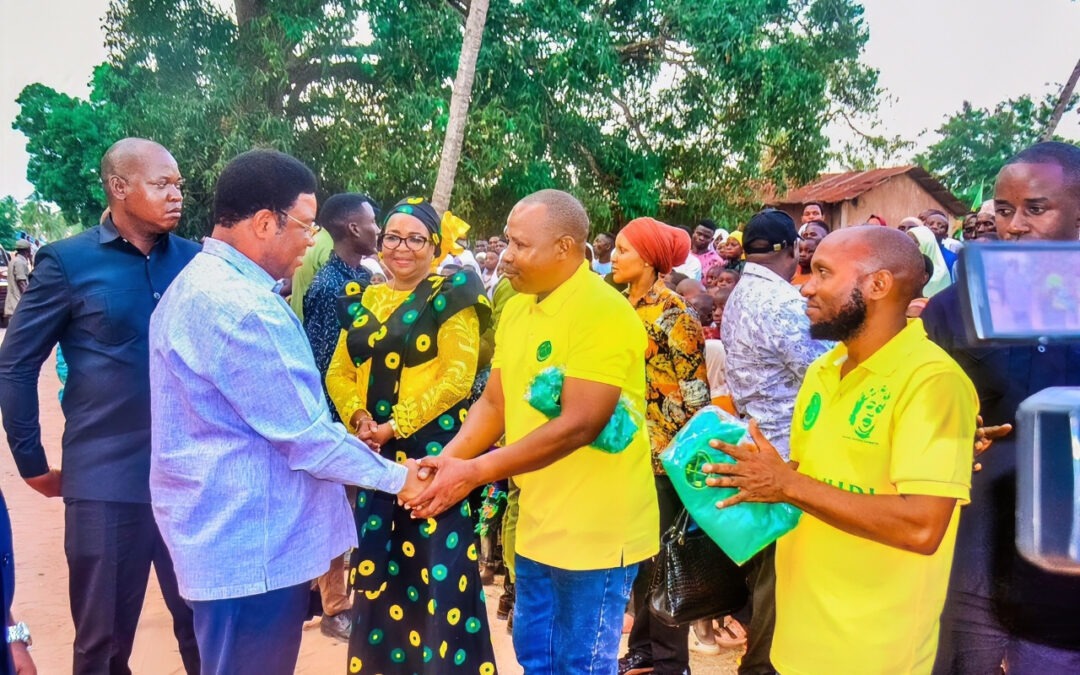 Political Defections and Party Dynamics in Tanzania: The Return to Chama Cha Mapinduzi