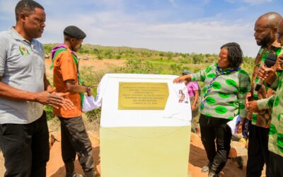 Inauguration of Sukuma Irrigation Scheme: A Milestone for Agricultural Development in Tanzania