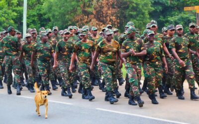 The Joint Route March: Unifying Tanzania’s Defence Forces for National Resilience