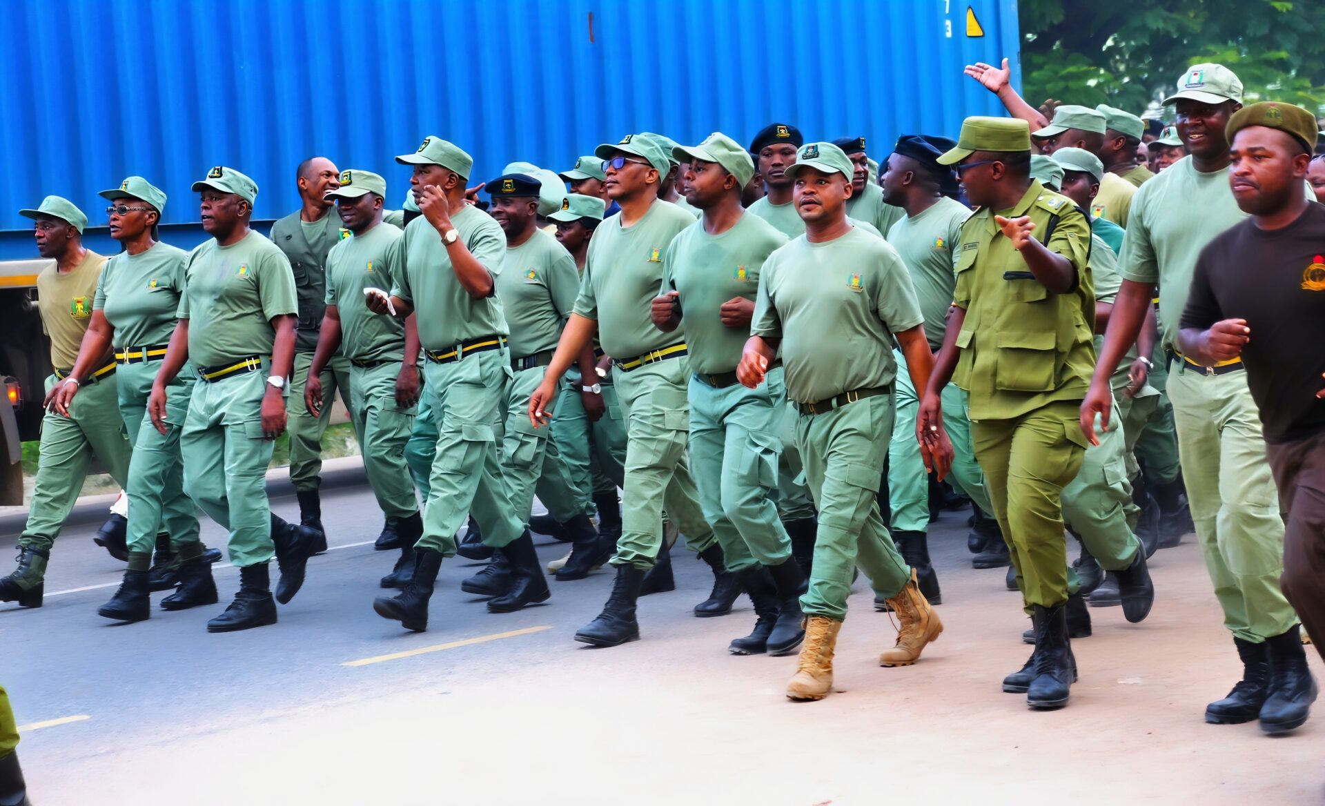 Tanzania's Defence Forces