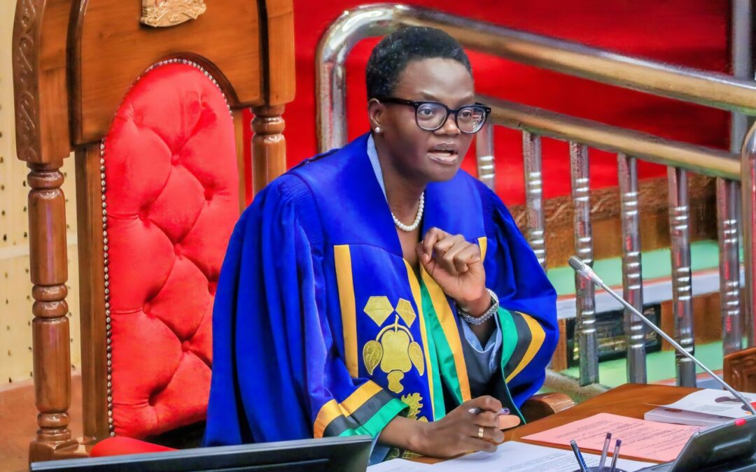 Bunge la Tanzania Session Highlights: Bridging Gaps in Infrastructure, Education, and Healthcare