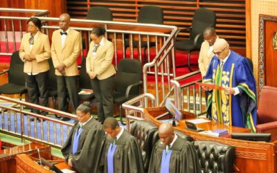 The Tanzania Parliament’s Landmark Passage of Seven Bills: A Step Towards Progress and Accountability