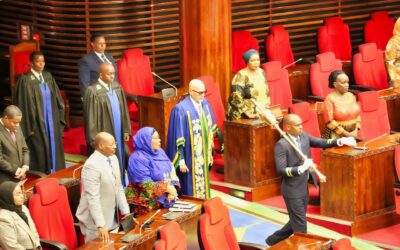 The Nineteenth Parliament, Second Session: A Milestone for Tanzania and Zanzibar’s Democratic Journey