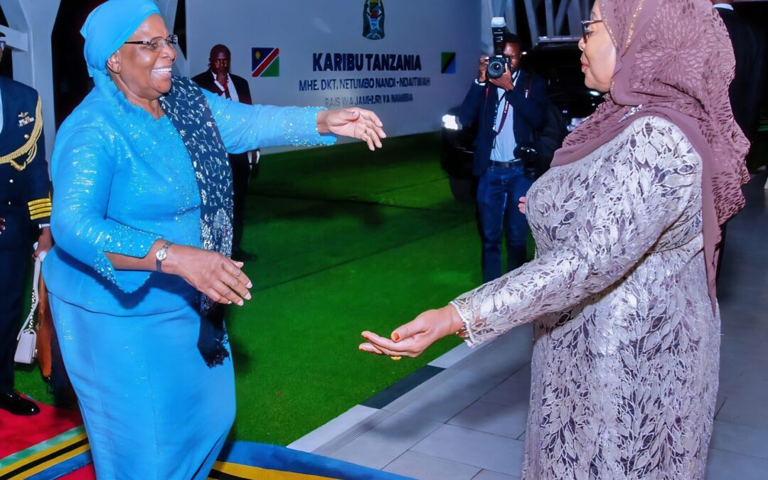 Tanzania and Namibia Relations