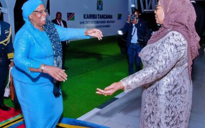 From Liberation to Economic Partnership: The Legacy of Tanzania and Namibia Relations