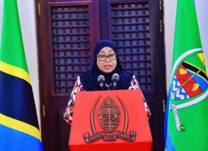 Tanzania Cabinet 2025